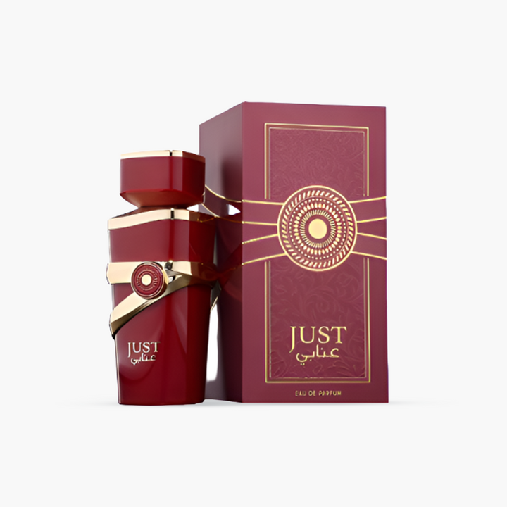 just anabi by fragrance world edp